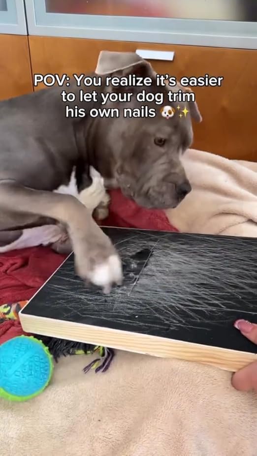 Dog Nail Scratch Board-Wooden Cat Scratching Pad
