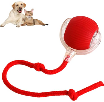 Rover's Roll-Up Fun Ball