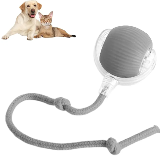 Rover's Roll-Up Fun Ball
